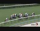 2024年5月11日　京都5R　3歳未勝利　ダイヤモンドレイン