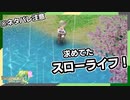 【ルーンファクトリー４】目指せ理想のスローライフ！～8日目～『町内散策編』