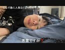【コメント有】ニンポー 2024年05月10日16時35分「心霊寝配信」寝配信部分カット【ニコ生録画】(5／10 ニコ 4枠目)