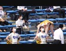 Tokyo Six Universities Baseball Cheerleading Team Meiji University 5