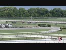 2024年 京都ハイジャンプ（J･GⅡ） _ 第26回