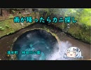 第4位：雨が降ったらカニ探し