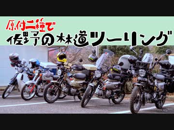 【ななまる日記】みんなで佐野の林道を走って美味しい寒晒し蕎麦を食べたよ