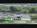 【ウマ娘風】24.5.5 京都4R 3歳未勝利(芝1600)【ジャズ】