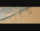 Auragate Films | Planet Logo Animation