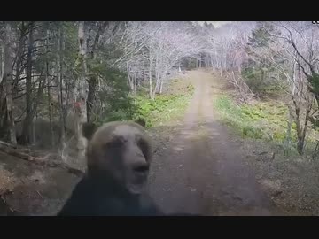 日本のドラレコ映像まとめ　事故・危険運転集 #57