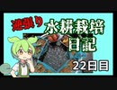 逆張り水耕栽培を楽しむずんだもん（22日目）