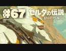 【ぽつぽつ実況 #67】ダルケル【ゼルダの伝説BoW】