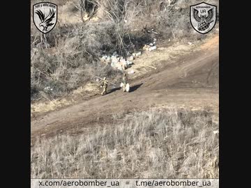 ホモと見る行商人みたいなロシア兵