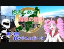 第35位：【ついなちゃん車載】抱きしめて！高志の国の果てまで！ 13回・針テラスに行こう！【Ninja400】