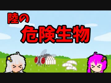 【VOICEROID解説】ゆかり先輩と見る危険生物【陸編⑮】