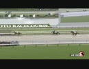 2024年5月12日　京都5R　3歳1勝クラス　クーアフュルスト