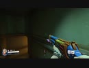 Overwatch2 【オーバーウォッチ2】 適当実況動画part299