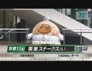 【競馬】2024年 栗東ステークス(L)【サンライズアムール / 坂井瑠星】