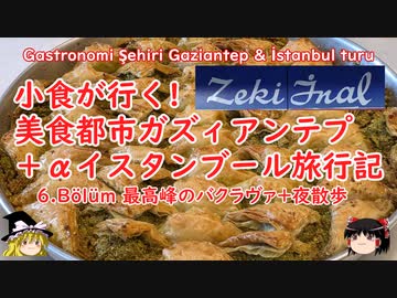 小食が行く！美食都市ガズィアンテプ＋αイスタンブール旅行記　6.bölüm 最高峰のバクラヴァ＆夜散歩