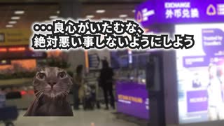 「猫ミーム」英語しゃべれないけどタイ旅行（出発編）