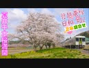 磐越東線日和 #02～桜満開の夏井駅を出発する列車2本盛合せ～
