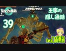 【TK39】王家の隠し通路！ゼルダの伝説ティアーズオブザキングダムを実況学習【VTuber】