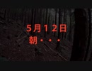 (閲覧注意・ハクビシン捕獲)変態忍者の、有害鳥獣駆除従事活動記・その２８４