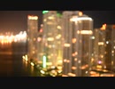 Miami night view. 苗村篤士