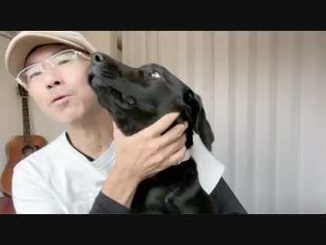 超過死亡は本当に「隠れコロナ死」なのか？