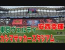 【実写】大好きなチームと大好きな選手が対戦する試合に行ってきた。【鹿島アントラーズvs東京ヴェルディ】