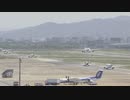 JAL機が誘導路の停止線を越え滑走路に近づく･･･別機体が急ブレーキかけ離陸を取りやめ