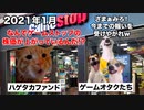 【ゲームストップ株騒動】ハゲタカファンドを叩きのめした個人投資家たちの逆襲#猫マニ #猫ミーム