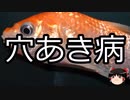 【ゆっくり朗読】ゆっくりさんと不思議な病気 その648