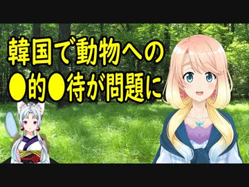 【韓国の反応】韓国でペットを飼う人が増えた結果、とある事が問題視される事に【世界の〇〇にゅーす】