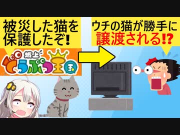 フジテレビ「被災地で飼育放棄された猫を保護した　感動だろ？」→元の飼い主「探してた子が譲渡される!?」