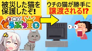 フジテレビ「被災地で飼育放棄された猫を保護して譲渡した　感動だろ？」→元の飼い主「探してた子が譲渡されてる!?」