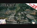 【ELDEN RING】Lv1未強化の旅 Part23 5周目ゴドリックとおまけ
