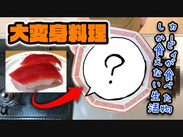 カービィが食べたものしか現実で食べられない生活 9日目(現実ご飯編)【星のカービィ ディスカバリー】