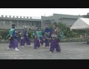 てんしゃばフェスタ踊り子隊　HEY∞WA！　第44回東村山子どもまつり