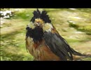 いつもの奴ら垂れ流し　後半