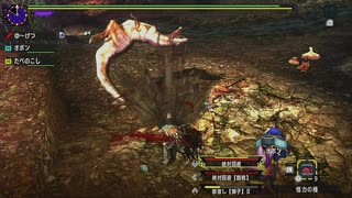 MHXXpart239_凶運の遺跡平原01