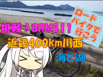 【パワポ紙芝居】挑戦！BRM511近畿400km川西 海と湖【ブルベ】