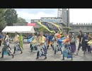 全体踊り　いい湯だな(ビバノン・ロック)　第44回東村山子どもまつり
