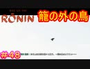 【Rise of the Ronin#48】鳥（とり）と烏（からす）は一瞬どっちか迷うから鴉表記にしてほしい（動画とは無関係なタイトル）【ライズオブローニン】