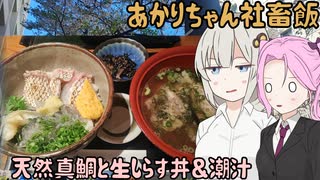 【VOICEROIDグルメ】あかりちゃん社畜飯 #5日本橋、和食いいじまの海鮮丼と潮汁