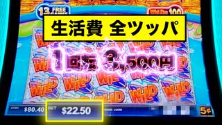 【流石にヤバい】超ハイレート スロットに挑んだ結果が凄まじすぎた【祝チャンネル一周年】