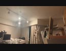 lv3452240700 躁すぎる _0
