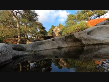 耳鼻科医監修｜耳鳴用立体音響｜せせらぎ③｜作業用･睡眠導入ASMR環境音｜MS録音