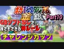 【Part10】ゲームボーイソフトなしで誰でもできる神モード「チャレンジカップ」をやっていく攻撃【ポケモンスタジアム金銀】