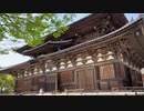 Spring at Kyoto's Toji Temple: A Cultural Heritage Site【甲村京也】
