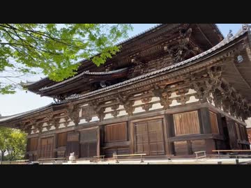 Spring at Kyoto's Toji Temple: A Cultural Heritage Site【甲村京也】