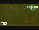 【ゼルダの伝説 Tears of the Kingdom】雷の賢者【実況】#63