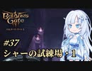 【バルダーズゲート3】雪さんとバルダーズ・ゲート3　Part37【VOICEVOX実況】