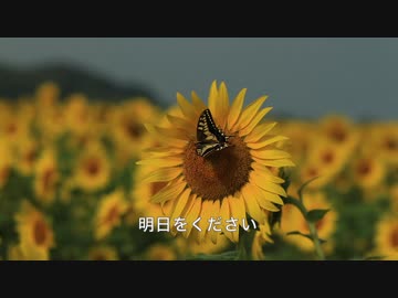 巡音ルカ「恋が虚しい」海遊魚